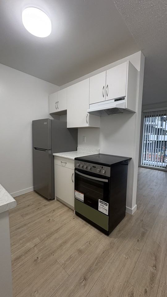 525 West 14th Avenue #407 - Photo 7 of 11