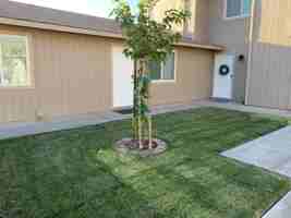 featured image of 308 W Wilson Ave #B