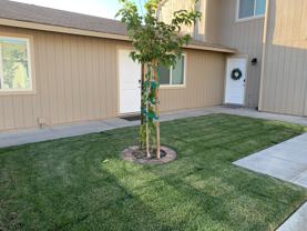 308 W Wilson Ave #B - Photo 1 of 1