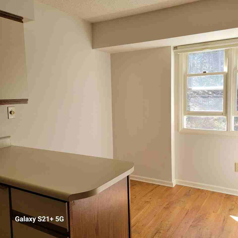 14 Willow Tree Run #14 - Photo 5 of 14