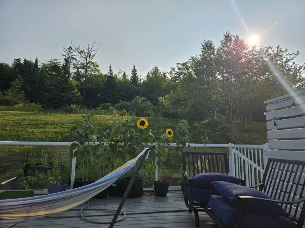 275 Bellbrook Crescent - Photo 2 of 16