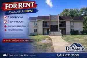 featured image of 508 Lunar Ln