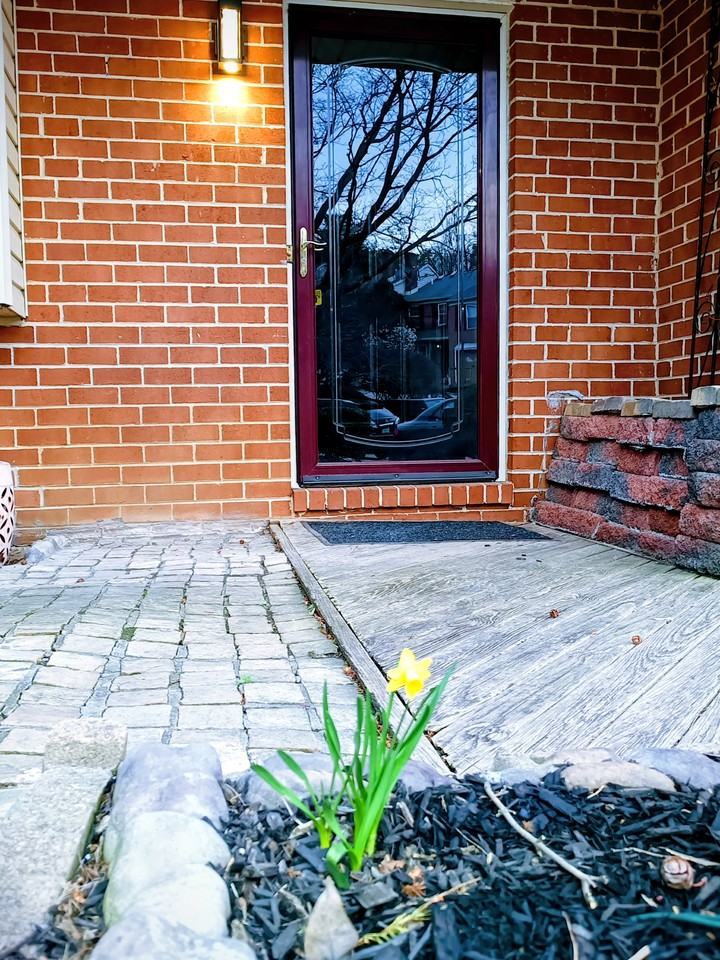 683 Coates Ln - Photo 3 of 4