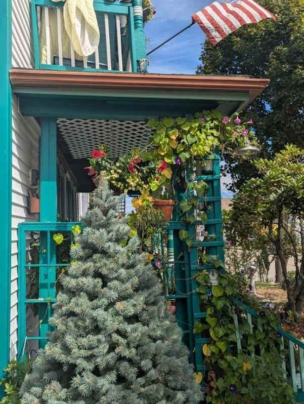 22 Stillman Ave - Photo 5 of 26