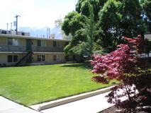 Delmar Gardens - Photo 1 of 1