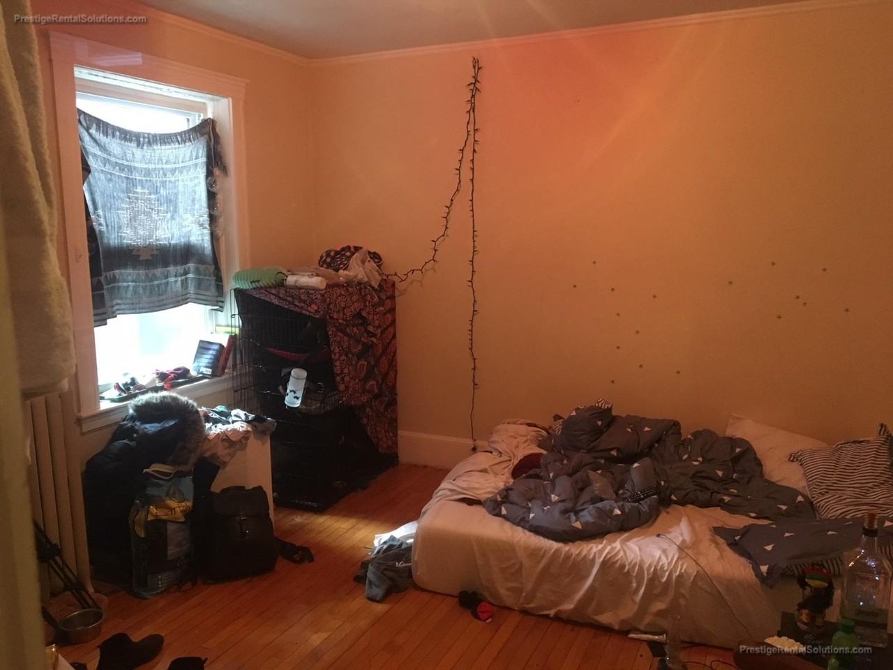 142 Davis Ave #2 - Photo 2 of 10