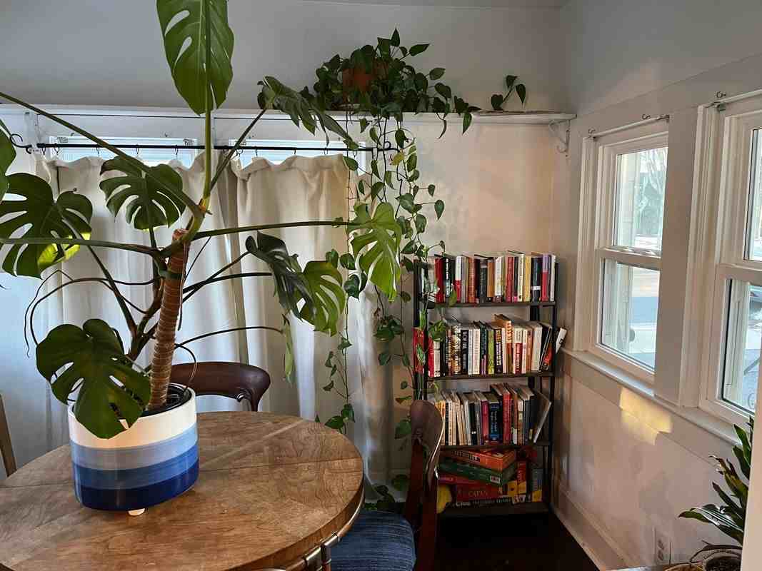 85 Birch Ave - Photo 4 of 10