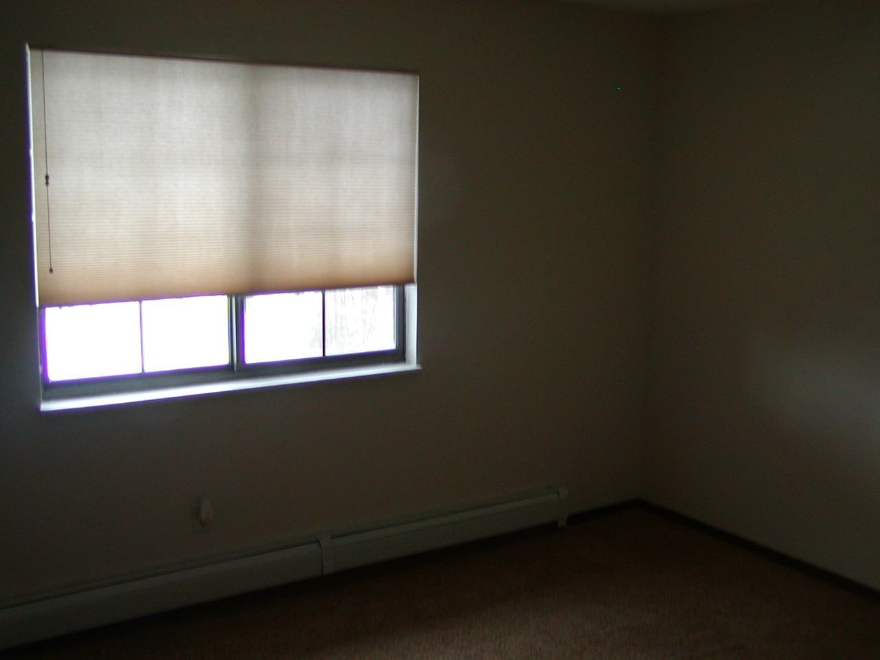 675 Straight Creek Dr - Photo 5 of 8