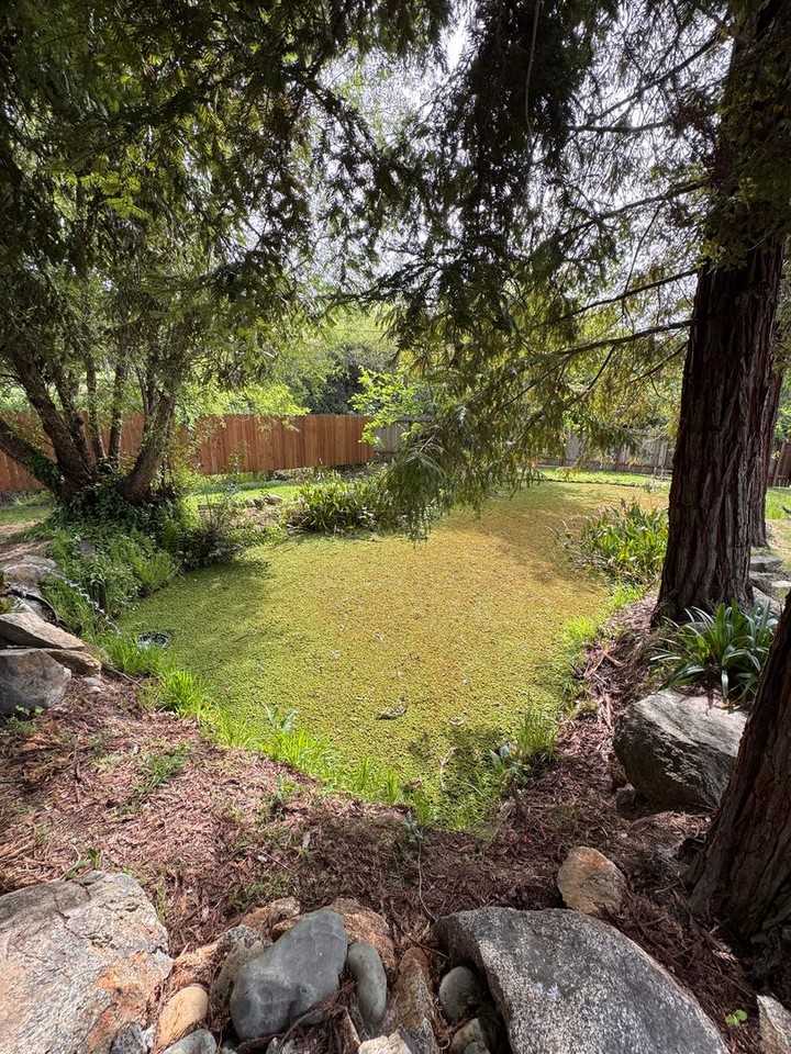 2505 Flume Ln - Photo 3 of 20