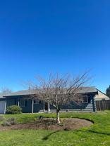 415 Memphis Way - Photo 1 of 1