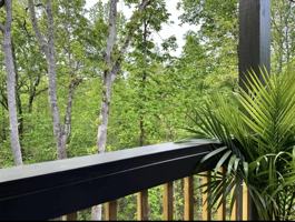 featured image of 55 Martin Ridge Trce #NA