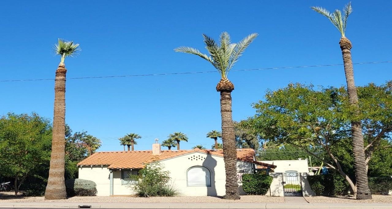 W McDowell Rd (1118) - Photo 3 of 3