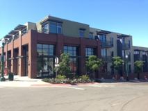 Olea - Photo 1 of 1