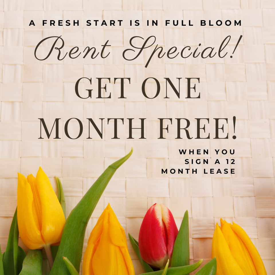 Six on 6th - Photo 7 of 47