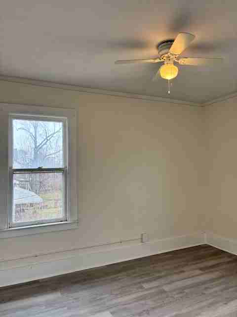 2285 Cortland St #1 - Photo 2 of 36