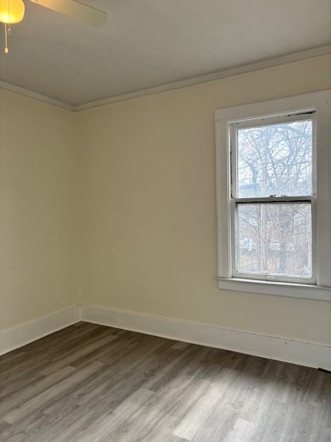 2285 Cortland St #1 - Photo 3 of 36
