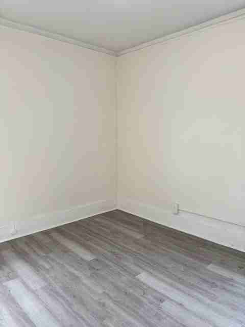 2285 Cortland St #1 - Photo 5 of 36