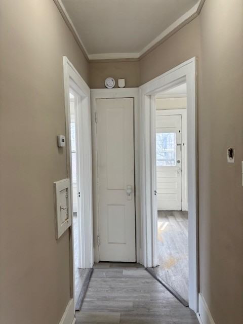 2285 Cortland St #1 - Photo 6 of 36