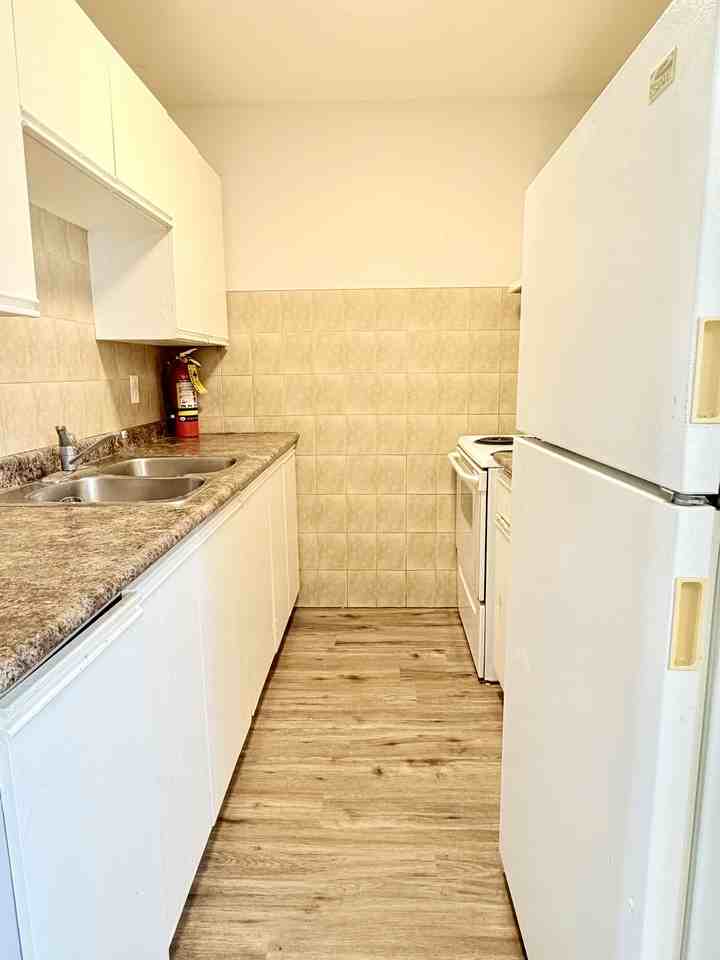 423 Bruce Ave #4 - Photo 5 of 14