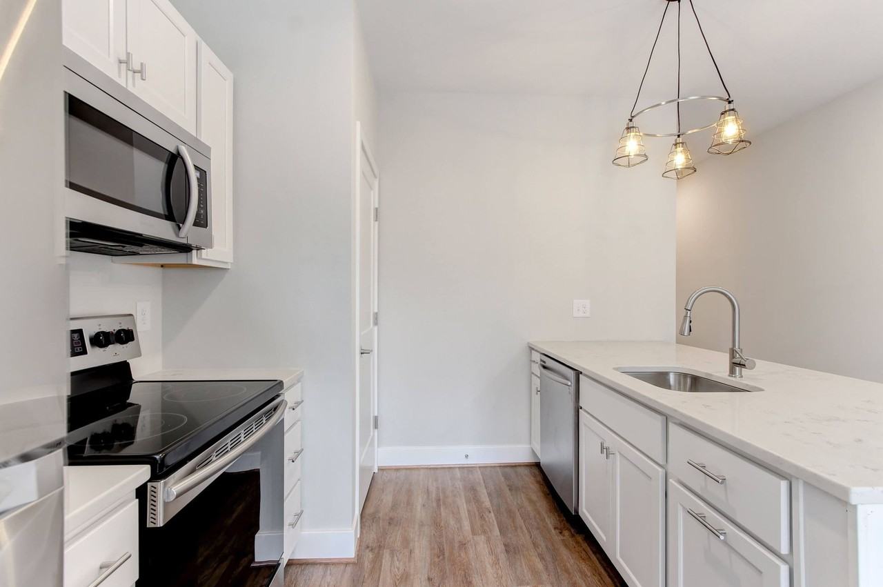 For Rent: Chic Urban Living at 1238 Light St – Your City Oasis Awaits! - Photo 4 of 13