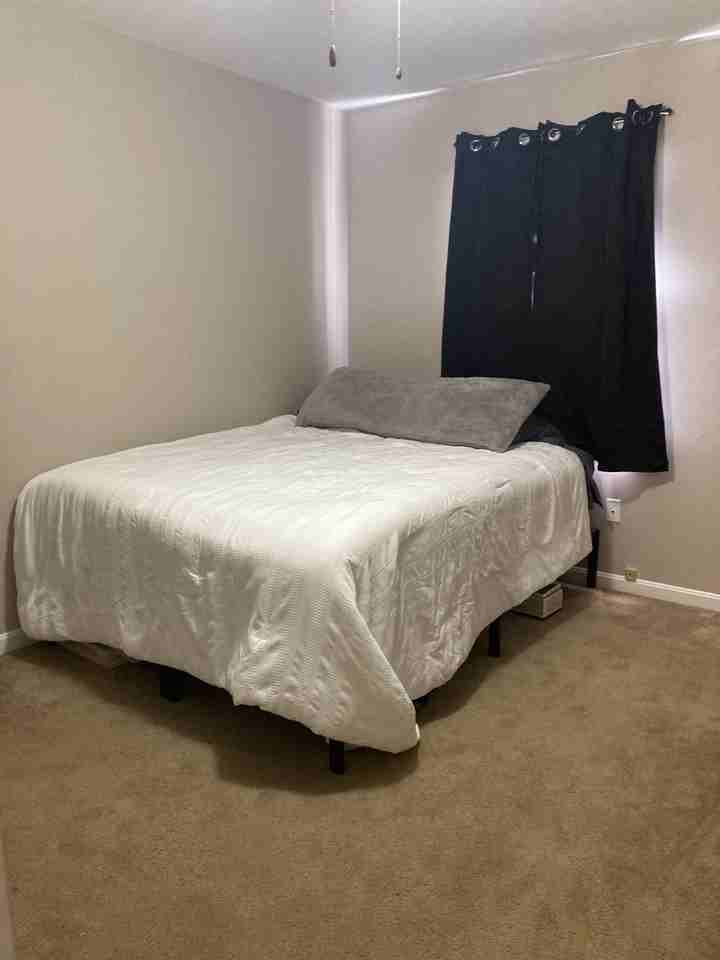 3502 Scotland Rd #0 - Photo 6 of 15