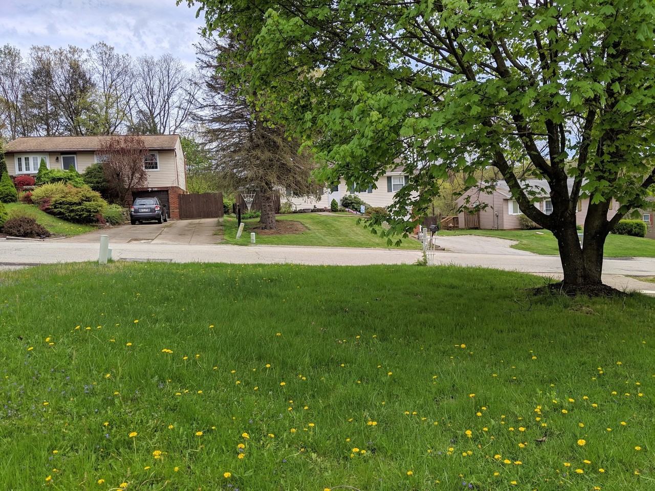 1367 Cavitt Rd - Photo 2 of 20