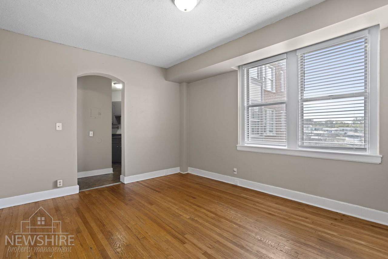 City View — Historic Downtown Spartanburg Apartments - Photo 4 of 50