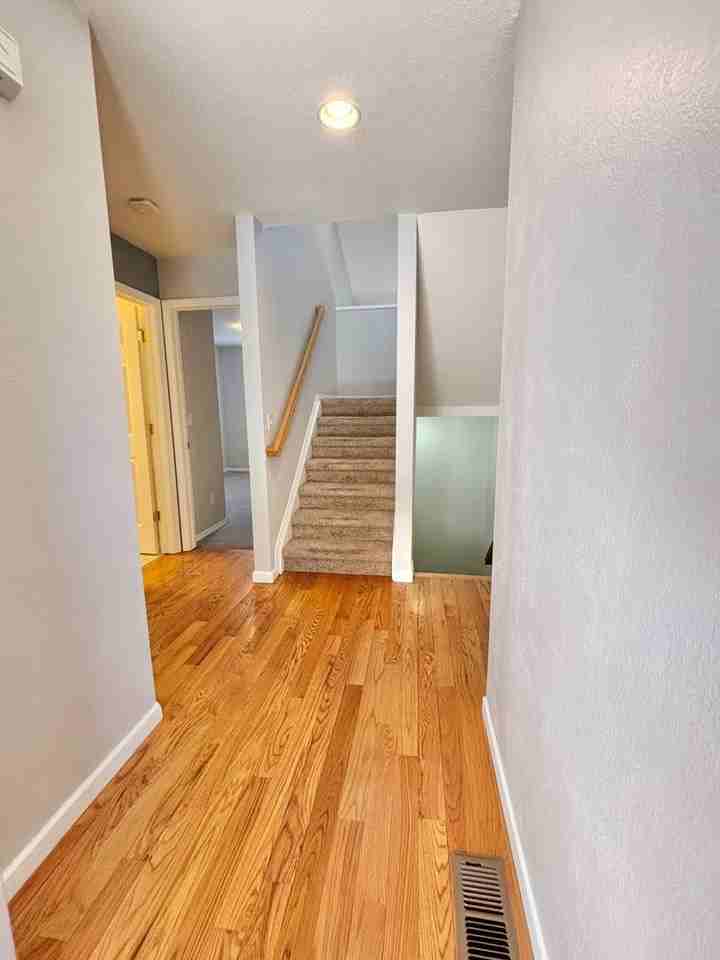 1005 Homestake Dr - Photo 2 of 31