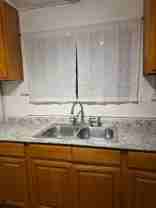 Fernleaf - Photo 1 of 1