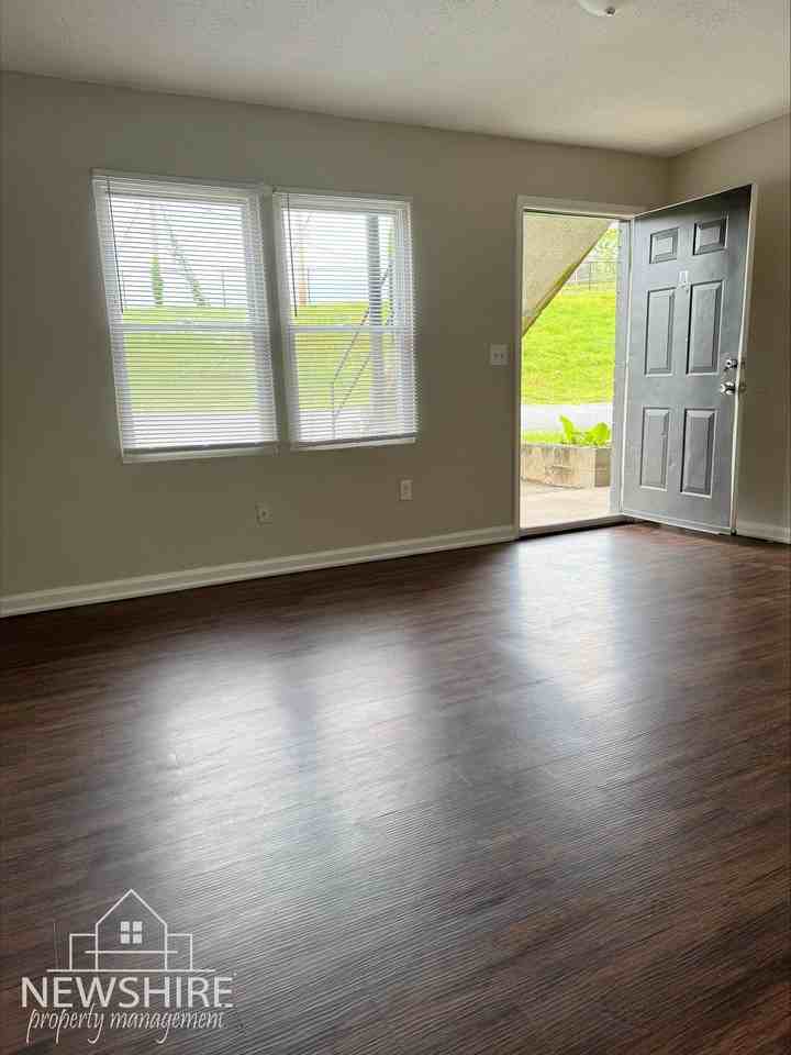 Hampton Avenue Apartments — Comfortable Greenville Living Close to Everything - Photo 7 of 45