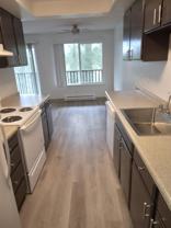 Forest View Apartments - Photo 1 of 1