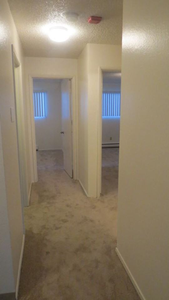 Forest View Apartments - Photo 6 of 10