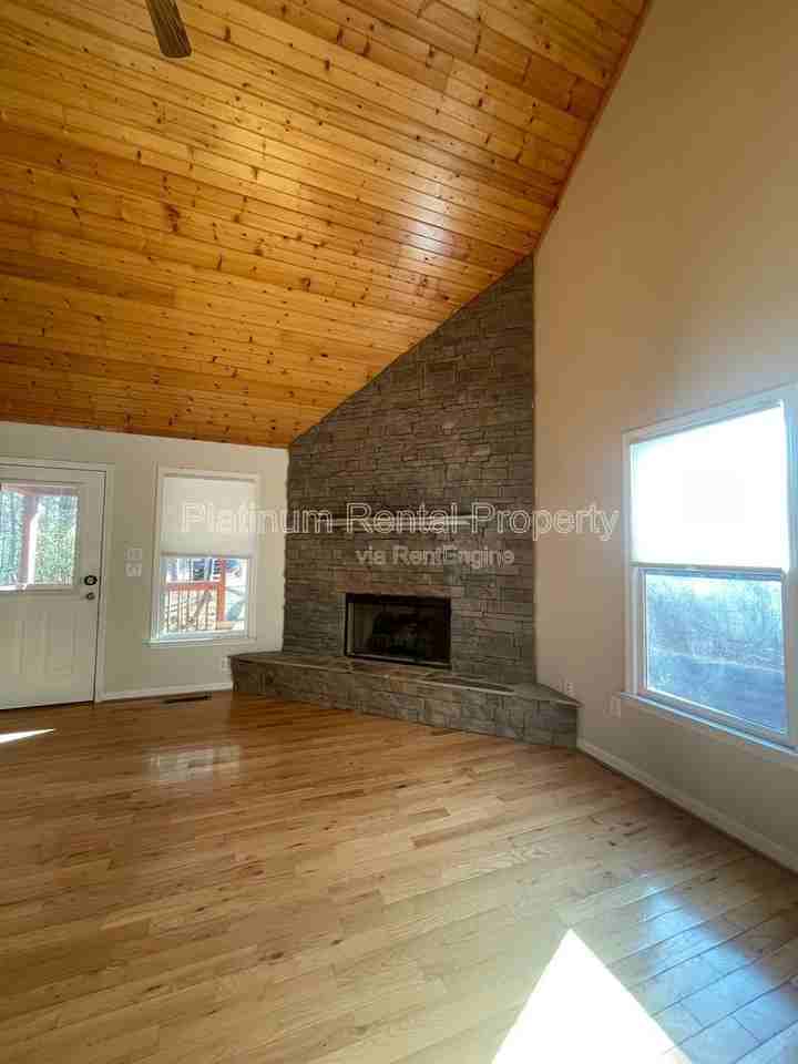 265 Hound Dog Ln - Photo 7 of 45
