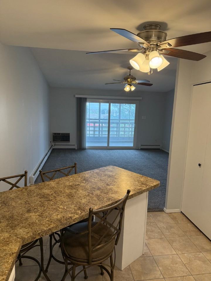 350 S Clinton St #6D - Photo 4 of 16