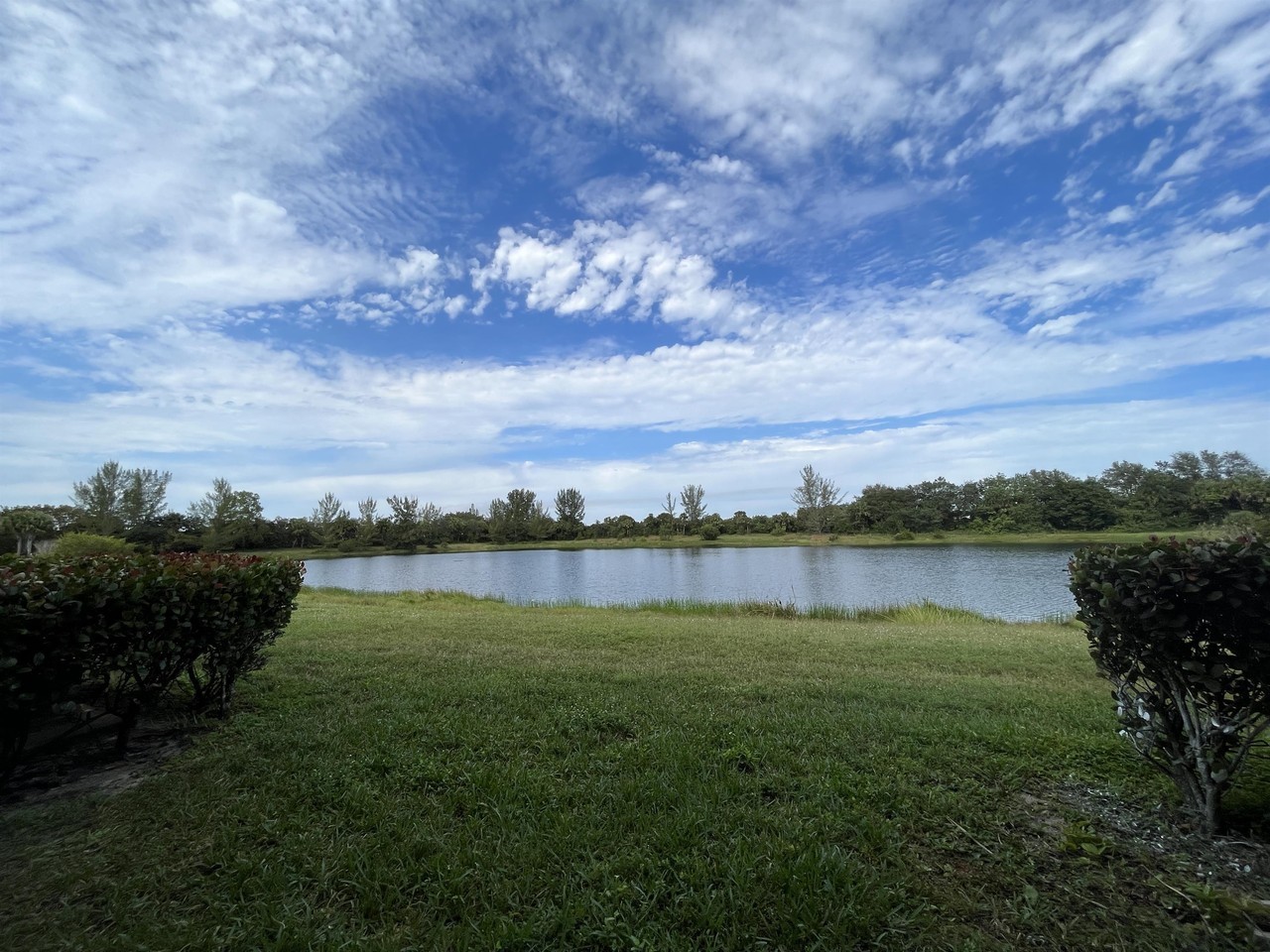 1133 Golden Lakes Blvd #567 - Photo 5 of 16