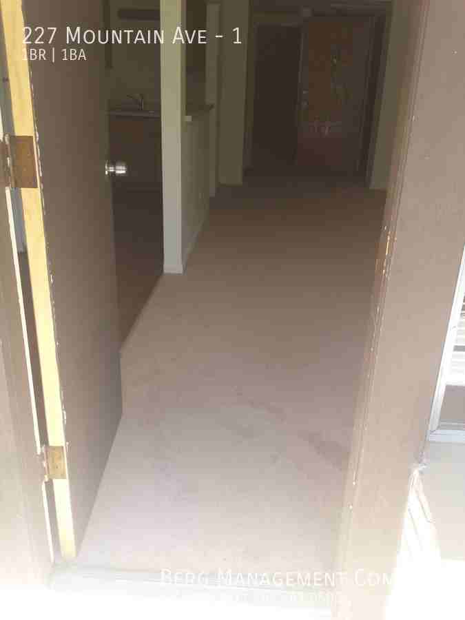 227 Mountain Ave #1 - Photo 7 of 10