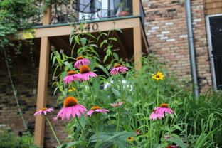 Harriet Apartments near the Wedge Coop - Photo 1 of 1