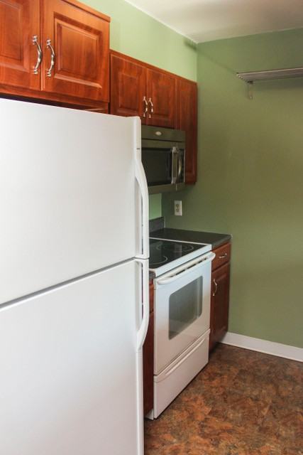 3431 Stover St #E533 - Photo 4 of 13