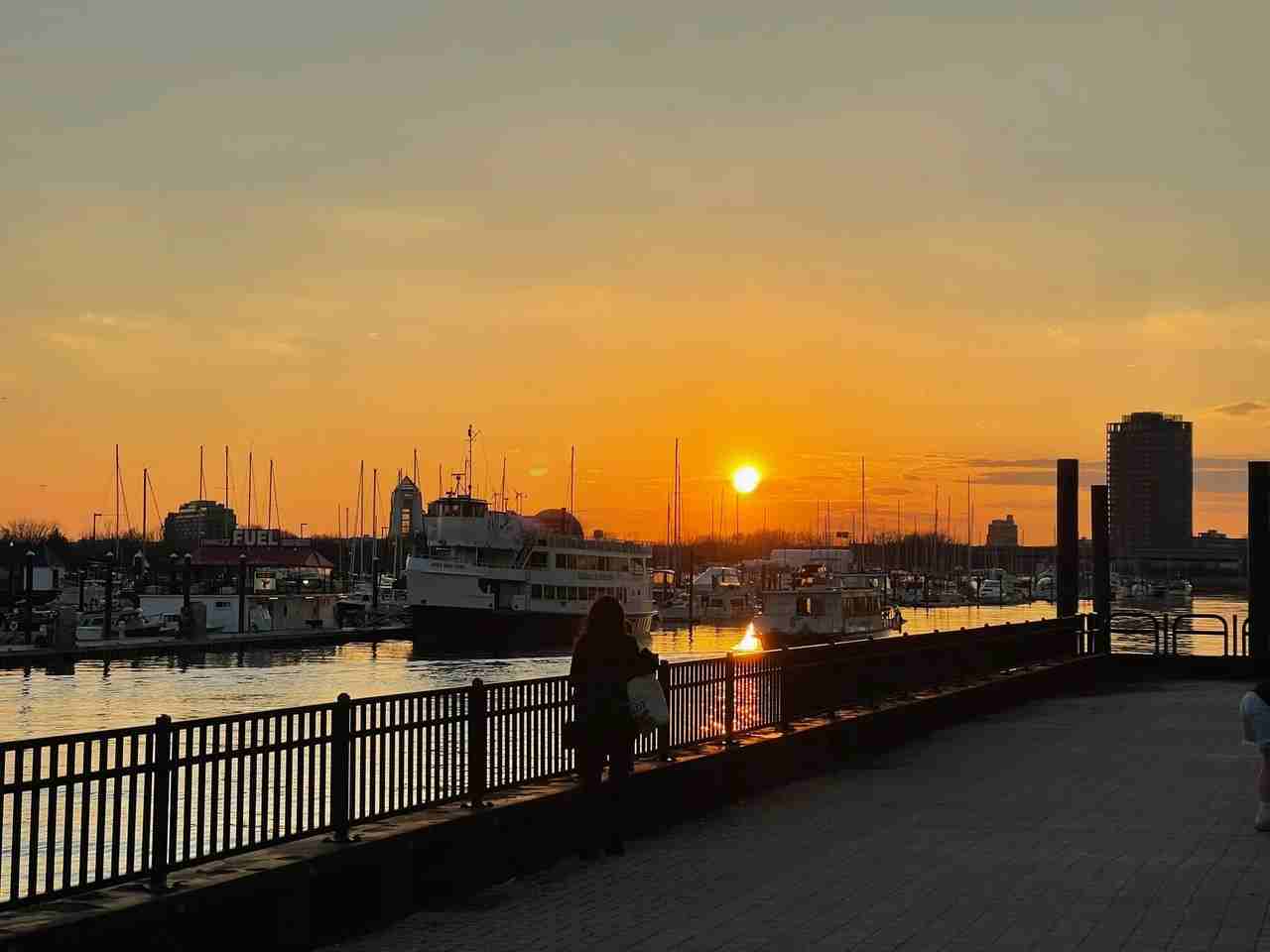 135 Sussex St #1 - Photo 2 of 8