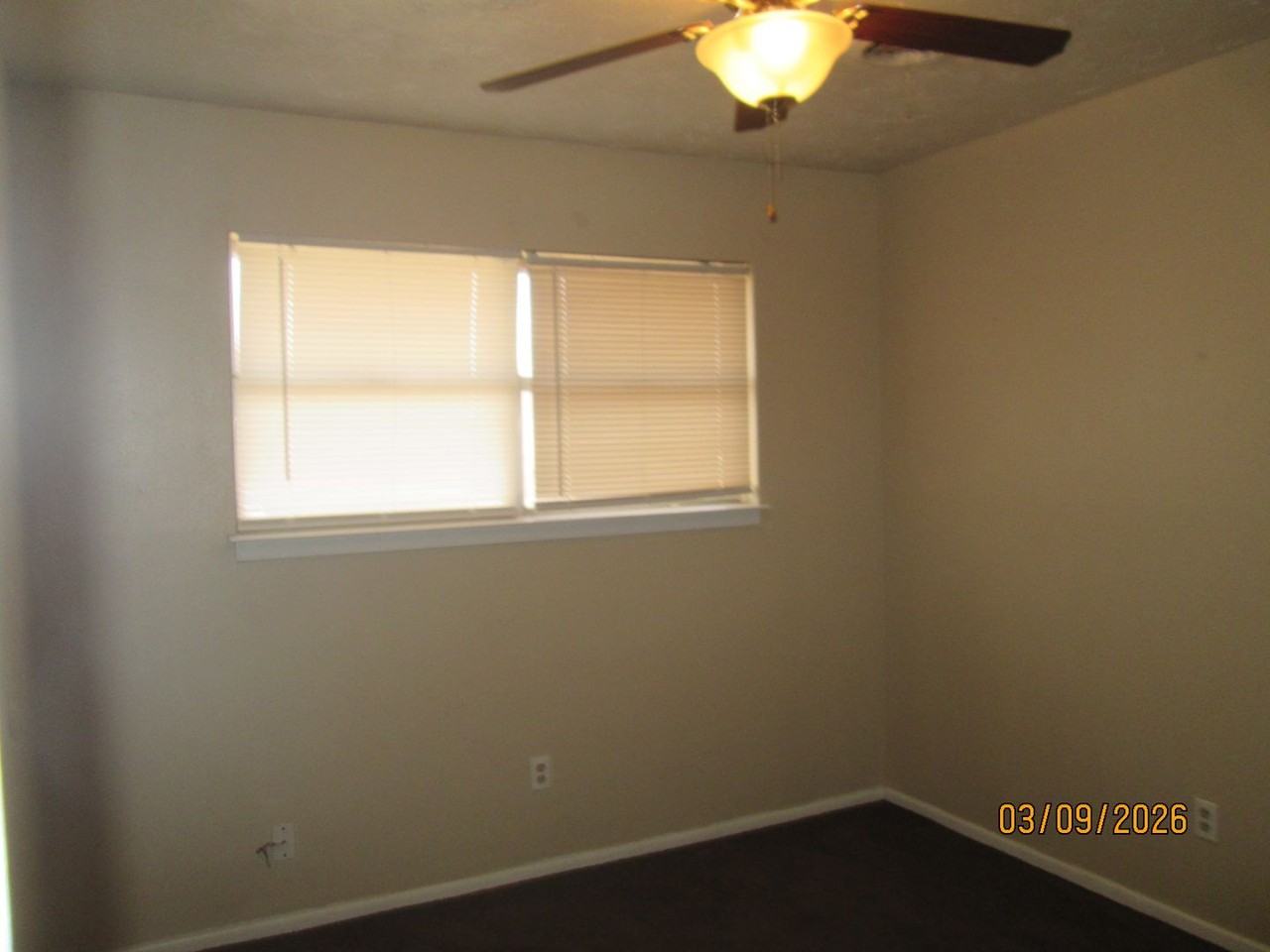 1321 Navajo Trl - Photo 7 of 13