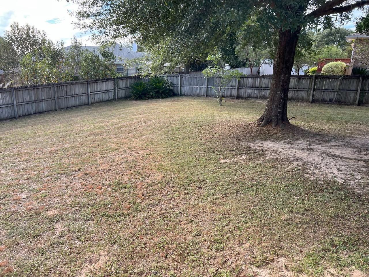 6024 Appaloosa Way - Photo 4 of 22