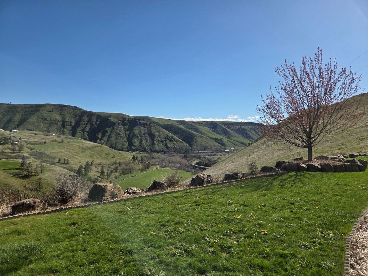 24334 Dry Bean Ln - Photo 2 of 7