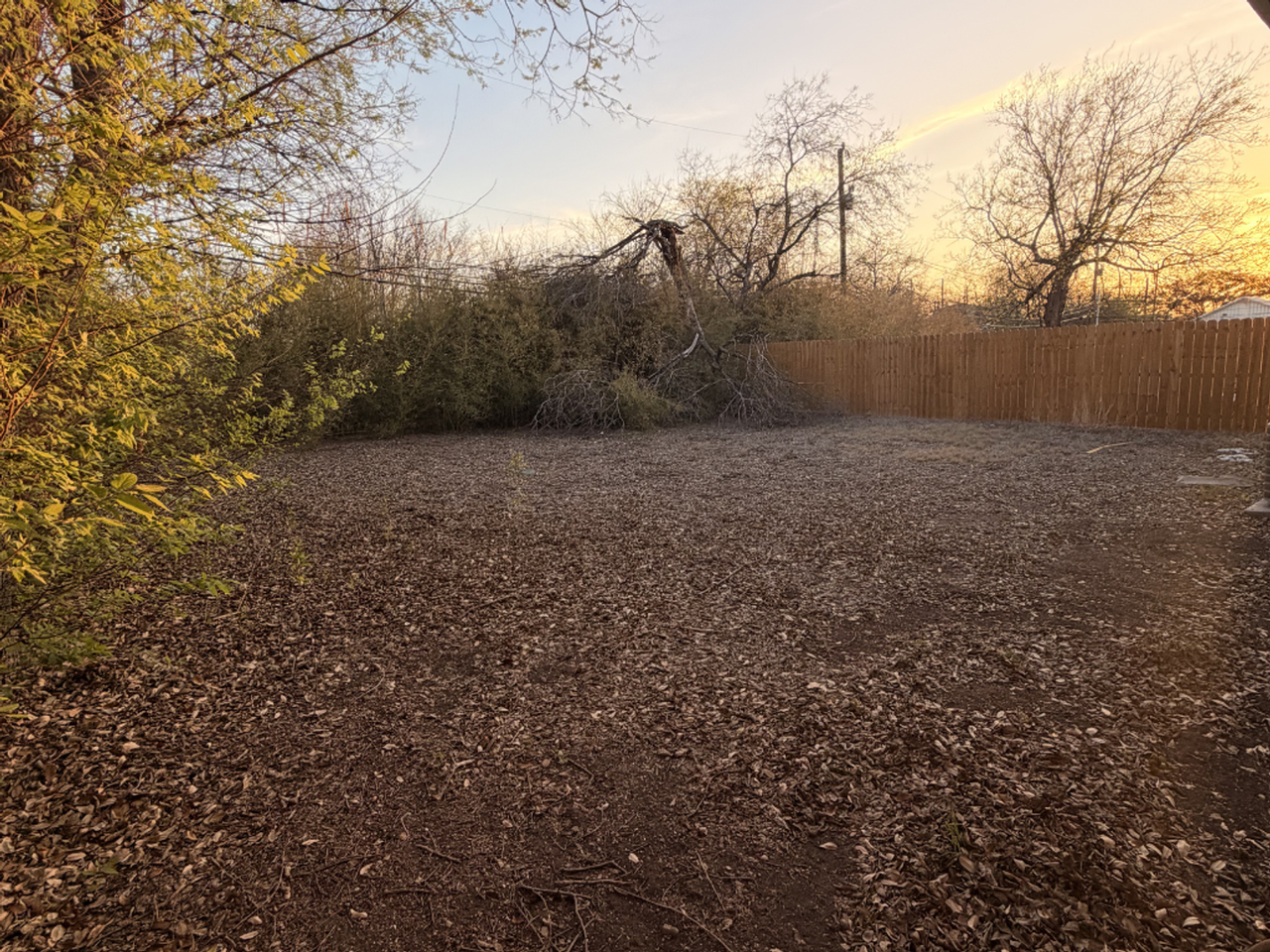 808 W Olmos Dr - Photo 4 of 25