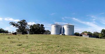 featured image of Shannon Lynn Shores Ln #1