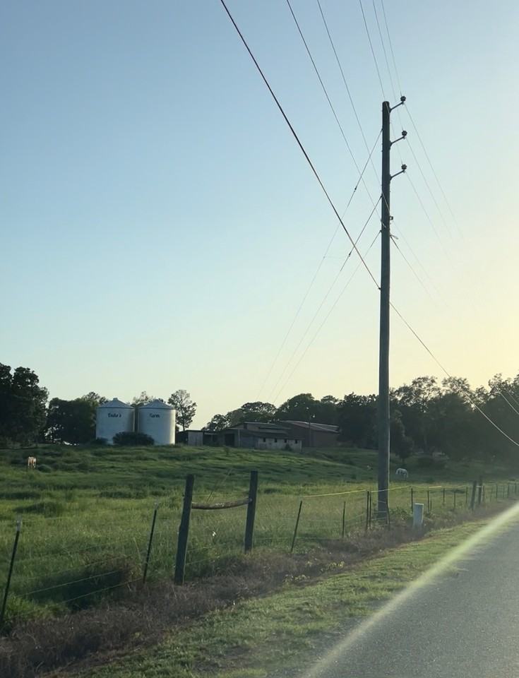 Shannon Lynn Shores Ln #1 - Photo 3 of 3