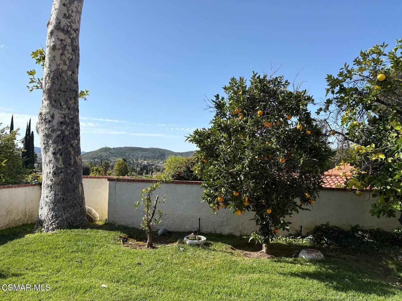 28649 Acacia Glen St - Photo 4 of 24