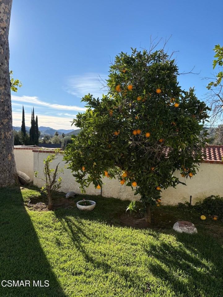 28649 Acacia Glen St - Photo 5 of 24