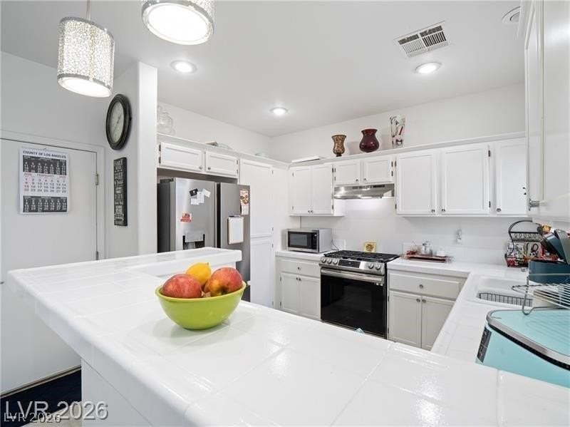 912 Appaloosa Hills Ave - Photo 3 of 14