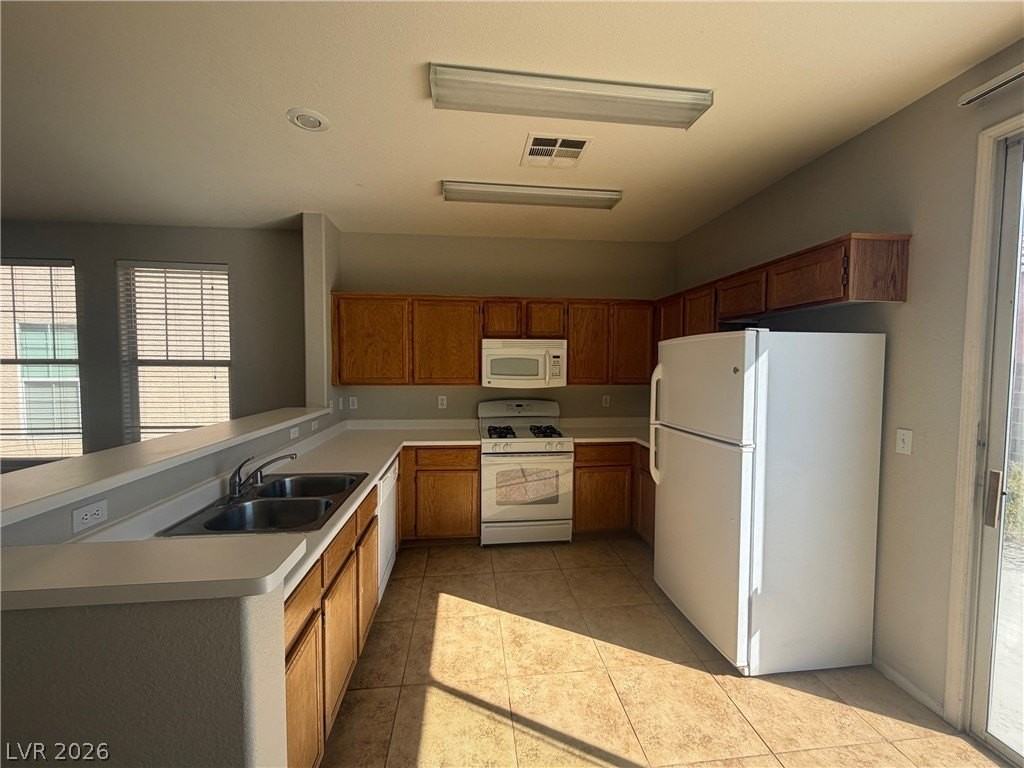 2521 Rainbow Cactus Ct - Photo 3 of 9