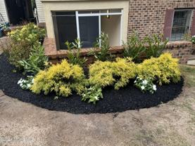 1838 State Route 35 Apt 1 #Apt 1 - Photo 1 of 1